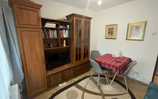 GARSONIERĂ TRANSFORMATĂ  APARTAMENT 2 CAMERE PARTER ZONĂ CENTRALĂ CAMPULUNG - Poză 16