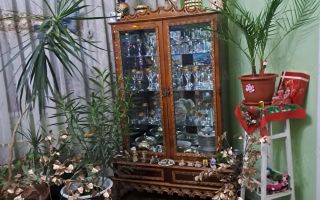 Apartament 4 camere zona Fabric  curte comuna - Poză 2