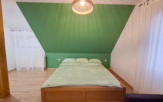 Proprietate cu potențial turistic în zona montană a Țării Lăpușului - Poză 30