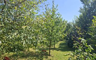 „Acasă, în adevăratul sens al cuvântului – casă cu livadă, liniște - Poză 4
