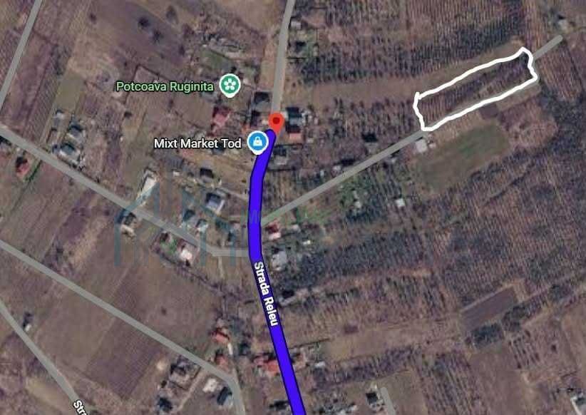 Teren intravilan de vânzare în Chicerea, comuna Tomești, str. Releu - Poză 2