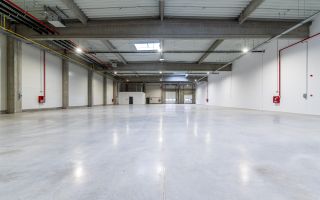 1202 mp - Hala industriala de inchiriat in Parc Industrial Arad - Poză 3