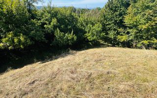 TEREN INTRAVILAN 3234 MP LEREȘTI VOINEȘTI ARGEȘ - Poză 16