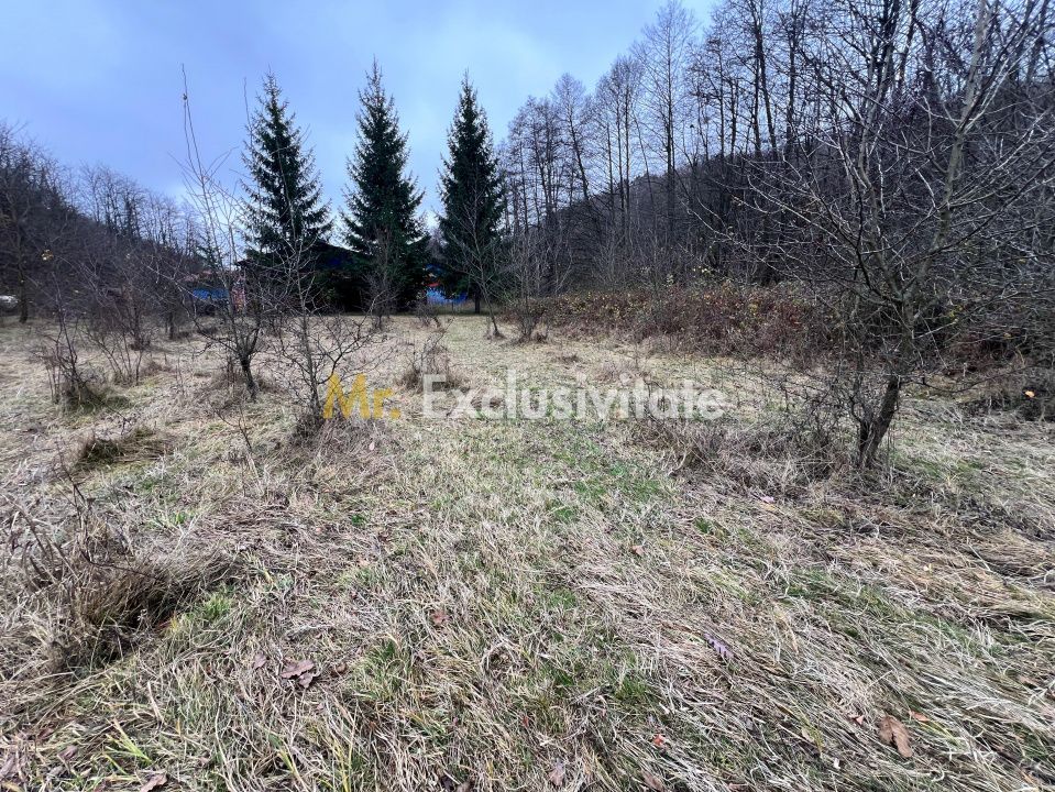 Teren intravilan 6.500 m²–Deschidere 144 ml drum european E81, km 35, Morăresti - Poză 1