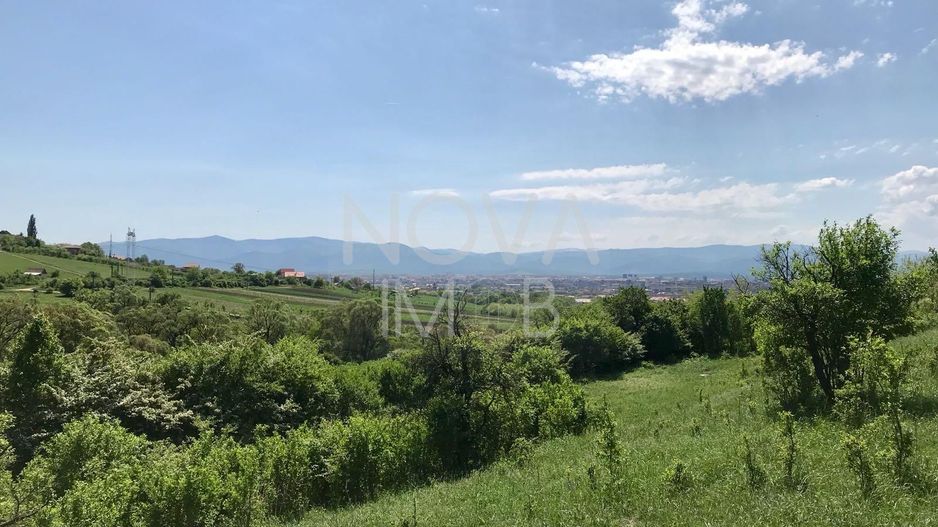Teren extravilan - 8000 mp, Gusterita - Poză 1