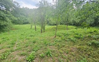 Teren intravilan de vânzare – 2.190 mp – Podu Vadului, Breaza - Poză 10