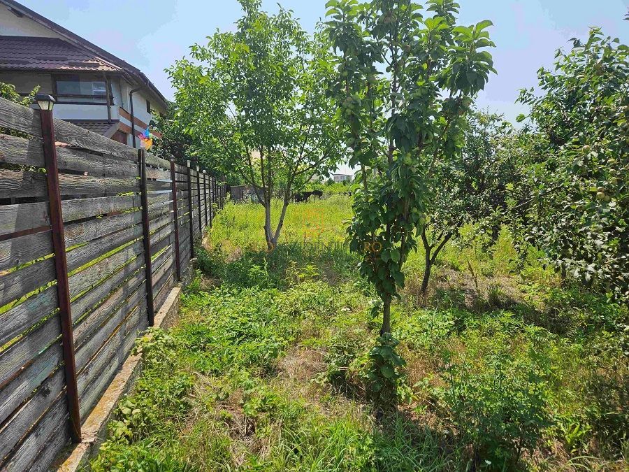 Teren de vanzare, 561 mp, strada Cetatea Alba, Mamina, Comuna Berceni - Poză 6