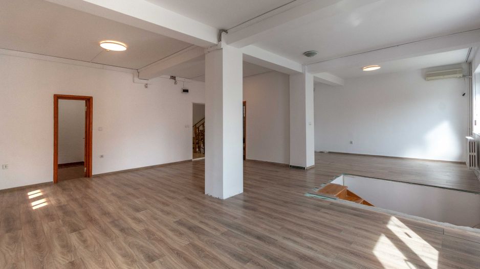 Aviatiei | Smaranda Braescu | Vila reprezentativa de inchiriat - Poză 24