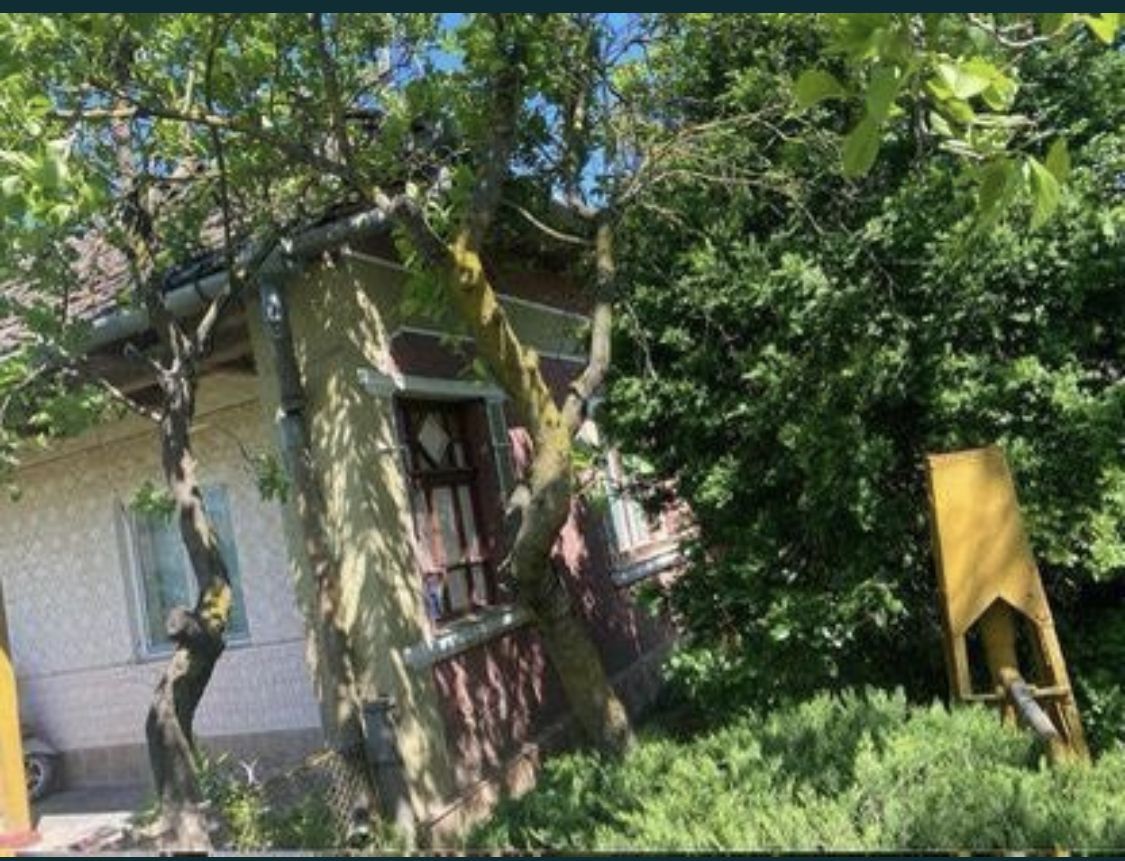 Casa de vanzare- Pret in euro - Poză 8