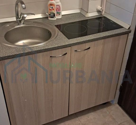 Garsonieră de închiriat în zona Kaufland Nicolina, Alexandru cel Bun - Poză 3