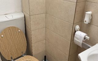 Apartament 3 camere Gradina Icoanei - Poză 17