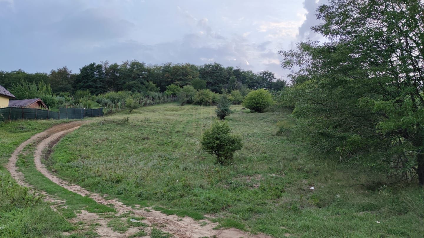 Teren de vanzare Onesti 4000mp - Poză 2