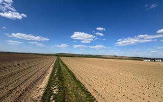 Teren extravilan de vânzare în Paleu - Poză 2