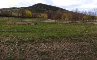 Teren intravilan 1000 mp-ideal locuinte P+4/Hala/Institutii-Viisoara - Poză 2