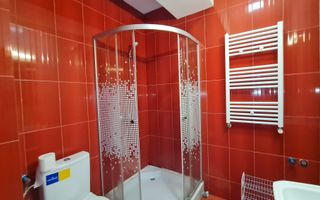 Garsoniere si apartamente de inchiriat-inclusiv perioade scurte! - Poză 17