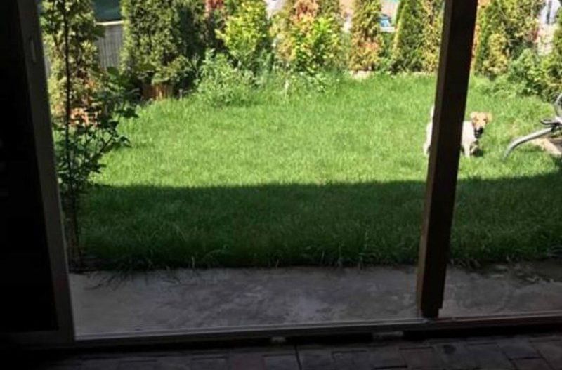 Vila tip N 4 camere in Cosmopolis, mobilata si utilata - Poză 6