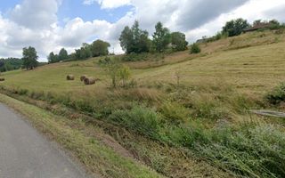 Teren intravilan Rosia, 12 000 mp, cu proiect aprobat. Comision 0. - Poză 2