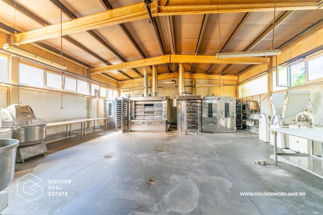 Locuinta de familie cu spatiu ideal pentru dezvoltarea unei afaceri - Poză 14