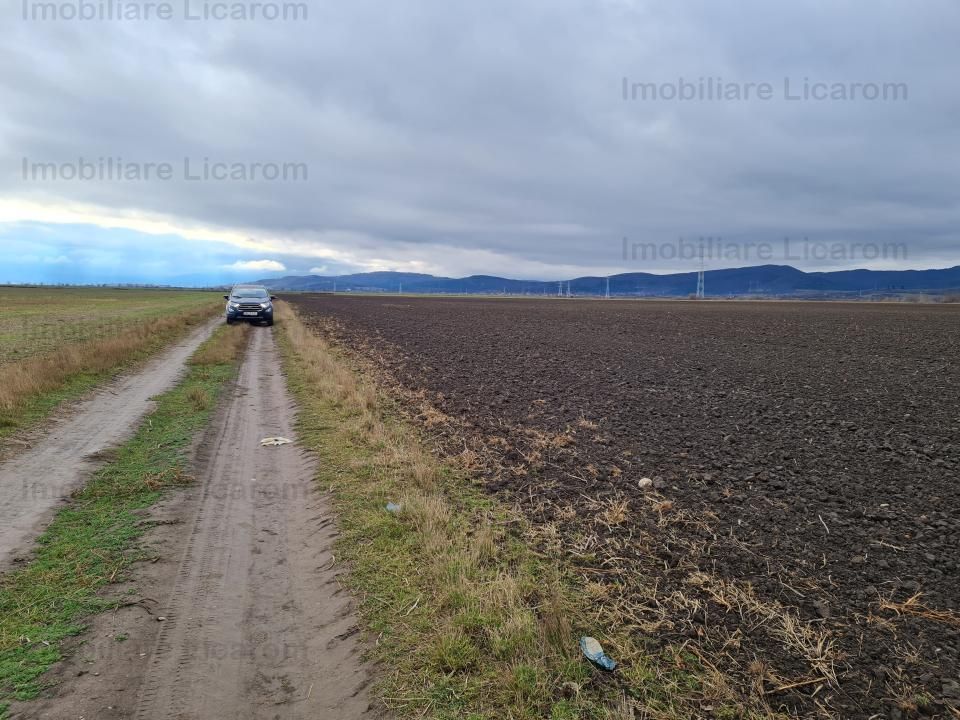 Teren Agricol 2,9 HA,intre Cristian si Vulcan/teren SPORT - Poză 1