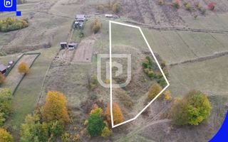 Teren - Gura Humorului |  BUCOVINA | 20€ mp - Poză 5