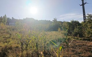 Teren intravilan Horodniceni/Suceava - Poză 5