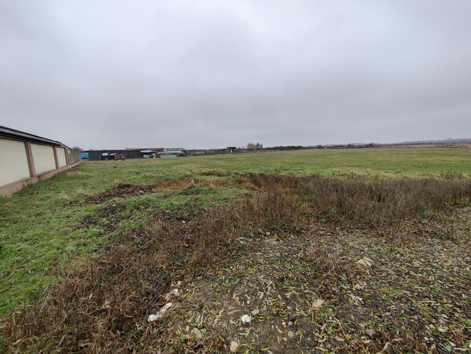 Teren 4588 mp, Remetea Mare Comision 0% - Poză 1