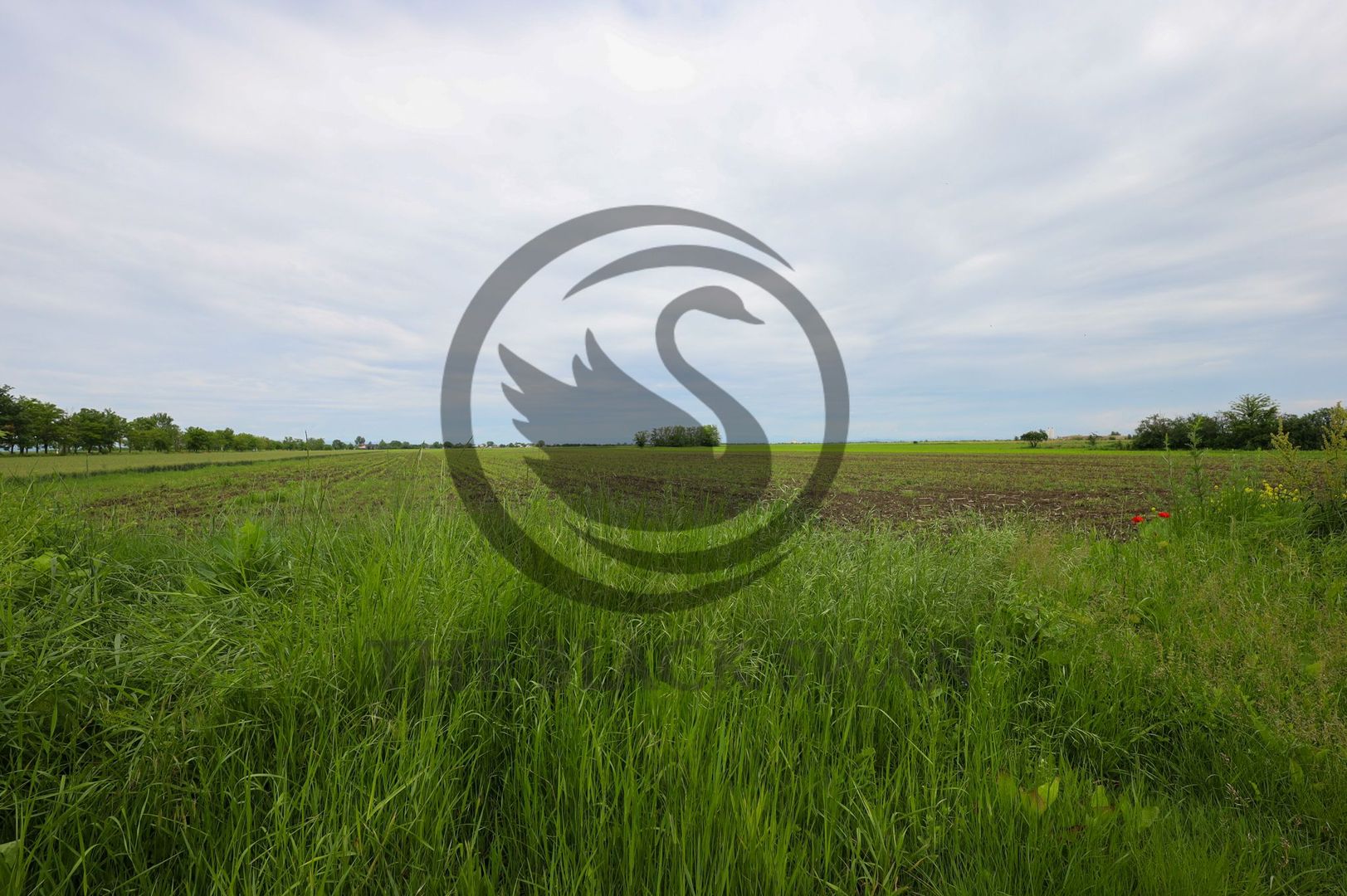 Teren de vanzare in Manesti, Prahova | 18.000 mp | Deschidere 60 ml - Poză 1