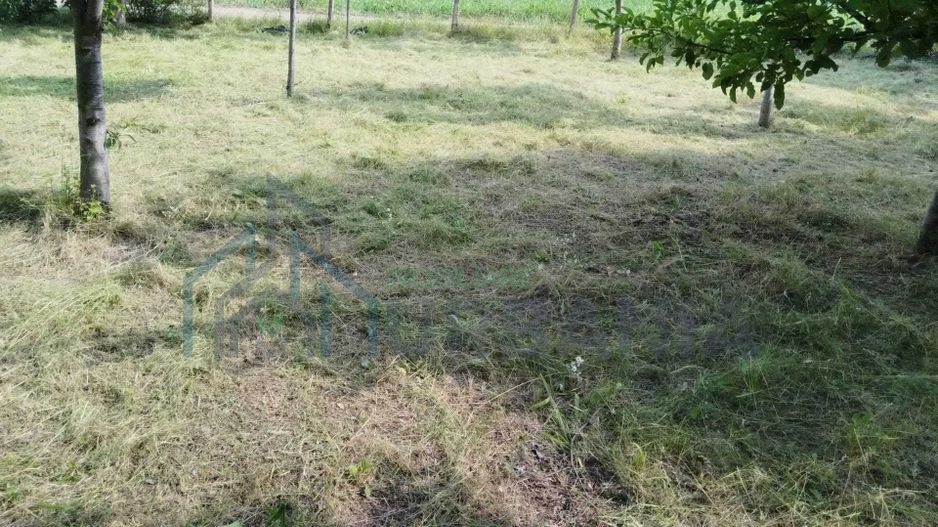 Teren intravilan 1200 mp, Rediu, zona Platou Beldiman – 2 parcele + cale acces - Poză 3
