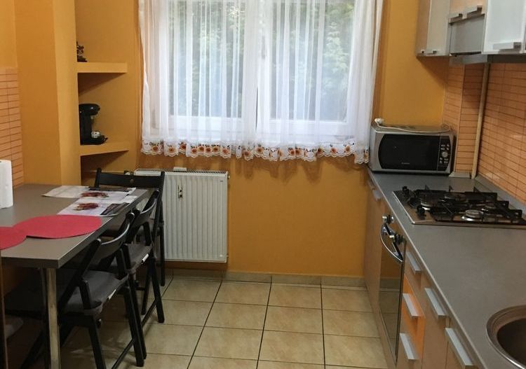 Apartament 2 camere – Tei - Poză 5
