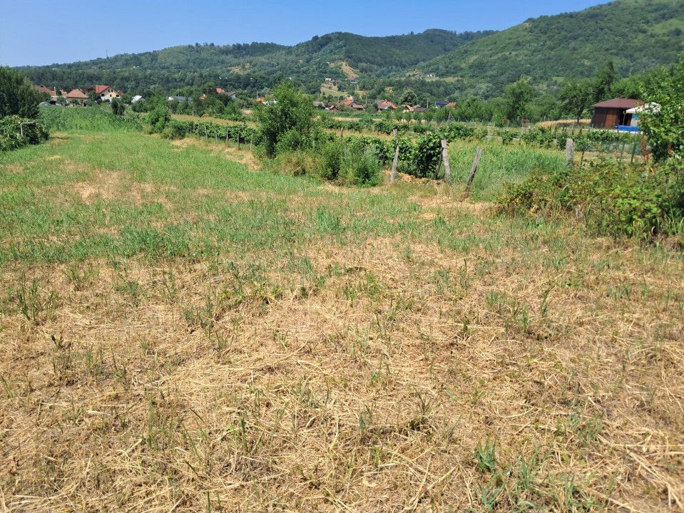 TEREN INTRAVILAN POLOVRAGI - Poză 2