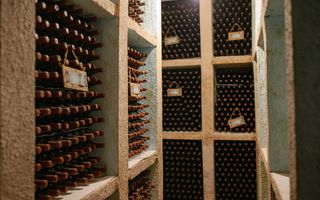 Vă invităm să investiți într-o afacere cu un raport de profitabilitate ridicat. - Poză 17