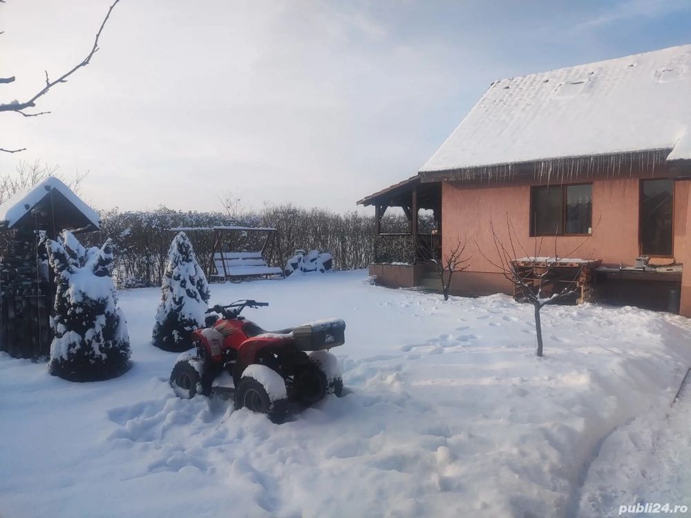 BRASADAS vinde casa individuala 2011 Odoreului. - Poză 1