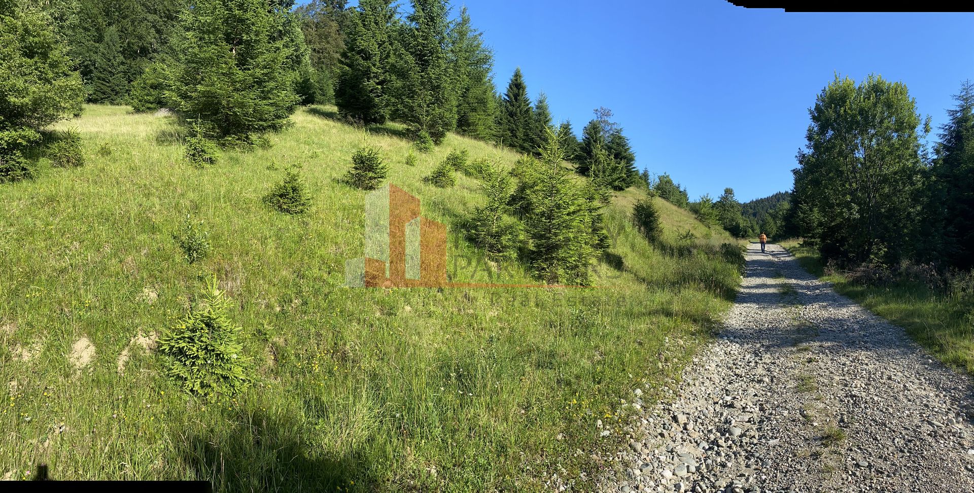 Teren 14400 mp la iesire din Rasnov inspre Pârâul Rece-Trei Brazi - Poză 1