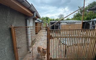 700 mp, teren intravilan, zona Centru, 150.000 euro - Poză 12