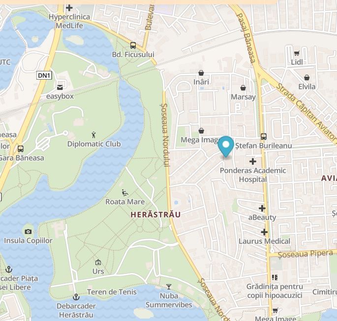 Teren de vanzare | Herastrau, Soseaua Nordului | Oportunitate rara - Poză 2