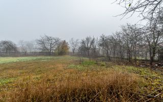 De vânzare Casă cu Grădină Generoasă in Dorobanți - Poză 3