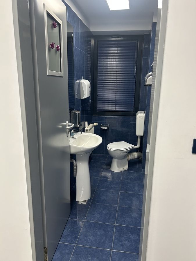 Dacia- Mosilor Bucuresti - Poză 9