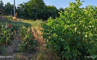Teren de vânzare în Dealul Viilor, Hârlău – 2.100 mp, gard complet, pomi fructiferi - Poză 1