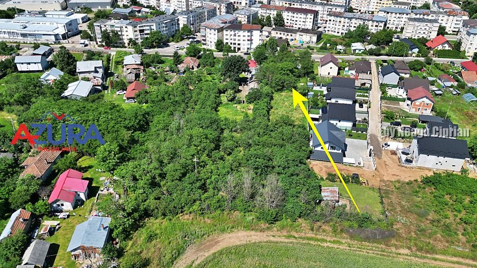 Teren pentru vile in centrul orasului Costesti, 3000 mp - Poză 8