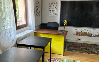 SPATIU COMERCIAL DOMENII, LOC PARCARE, CENTRALA, MOBILAT/UTILAT, CURTE - Poză 20