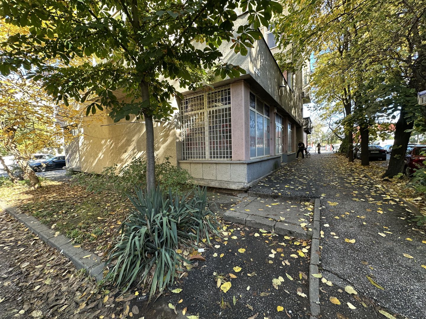 Spatiu comercial Calea Aradului - Poză 17