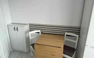 Garsoniera de inchiriat-Strada Miraslau-10 min Metrou - Poză 8