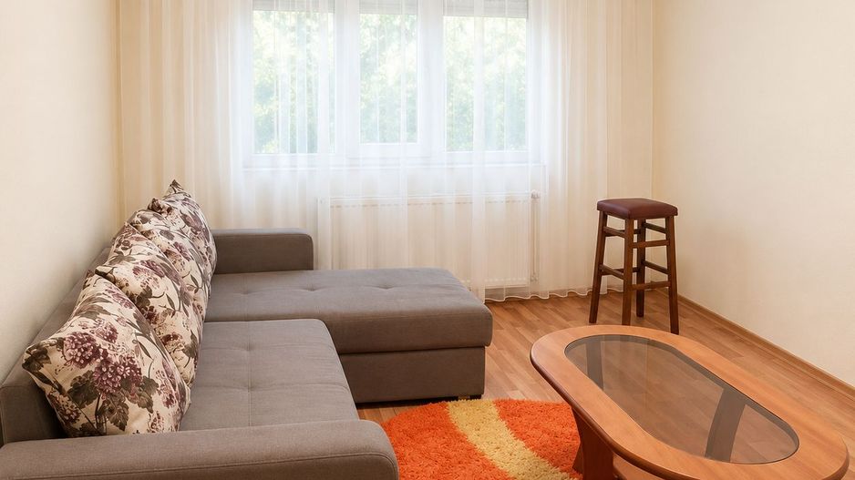 Apartament 3 camere decomandat, centrală proprie, AC, etaj 3, Lipovei - Poză 8