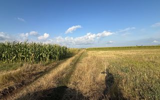 Teren extravilan de vânzare | Horodnic de Sus | 45 Ari - Poză 1