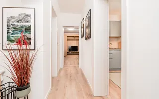 Apartament cu o camera în Piata Unirii cu boxa in CF - Poză 18