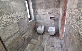 Duplex pe parter Mosnita Veche - Poză 18