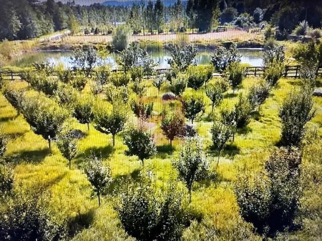 O proprietate de exceptie la Corbi, 18 ha, izvor, lac, pastravarie - Poză 5