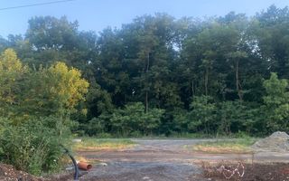 Teren Intravilan Dumbrăvița ,pretabil Duplex - Poză 5