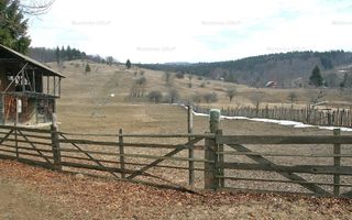 VALEA DOFTANEI - Traisteni, langa Conacul Dascalu, vanzare 2.537 mp. teren - Poză 17