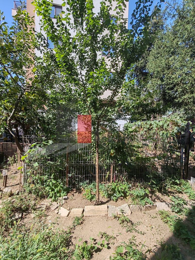 Bucurestii Noi - Parc Bazilescu - Comision 0 - Poză 14